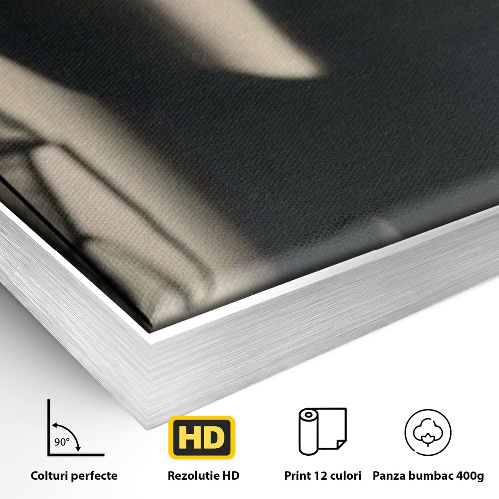 Detaliu al suprafetei: tablou canvas cu silueta si umbra, in rama de aluminiu argintiu